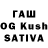 Псилоцибиновые грибы Psilocybine cubensis King_Cola