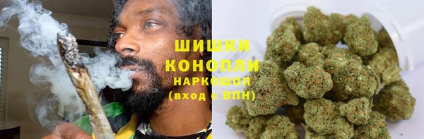 гашик Карпинск