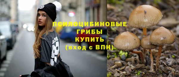 марки lsd Карталы