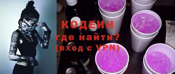 гашик Карпинск