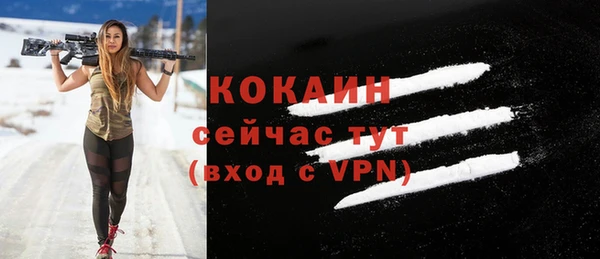 гашик Карпинск