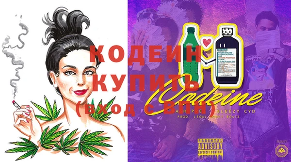 гашик Карпинск