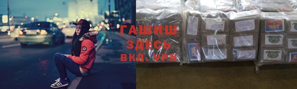 гашик Карпинск
