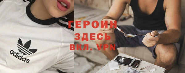 гашик Карпинск