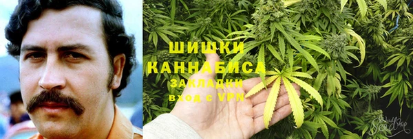 гашик Карпинск