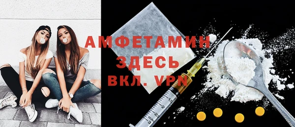 гашик Карпинск