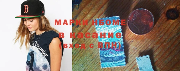 гашик Карпинск