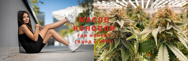 гашик Карпинск